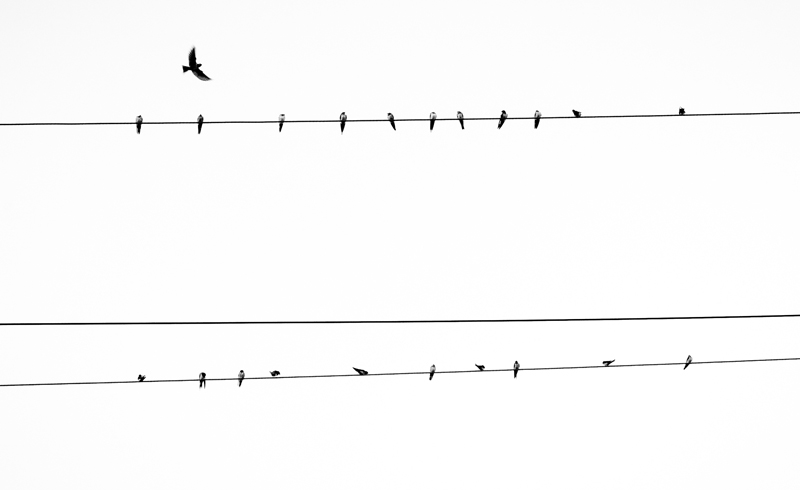 5c3da98e9b77af45b86b11ffa780cf615c561e6c