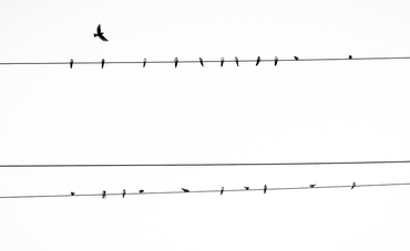 Normal 5c3da98e9b77af45b86b11ffa780cf615c561e6c